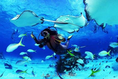 خرید آنلاین بلیط كیش