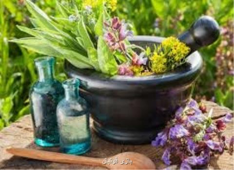 گسترش همكاری پژوهشگاه بیوتكنولوژی كشاورزی و فن بازار بین المللی گیاهان دارویی خراسان گسترش همكاری پژوهشگاه بیوتكنولوژی كشاورزی و فن بازار بین المللی گیاهان دارویی خراسان